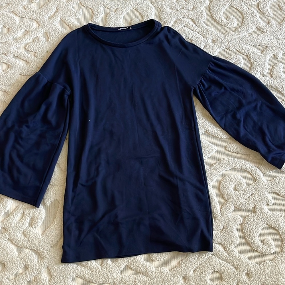 Zara dress